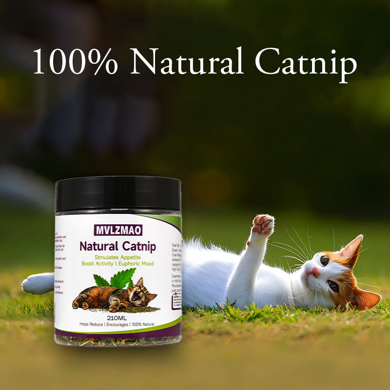 Cat Toys - Silvervine Catnip f - Herbal Wellness Products review and price